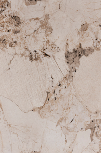 Golden Hazel – PVC