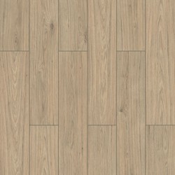 HAWK FW003 – LAMINATE WINGS