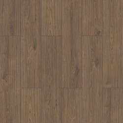 RAVEN FW004 – LAMINATE WINGS