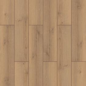 CANYON FX019 – LAMINATE ELITE XL