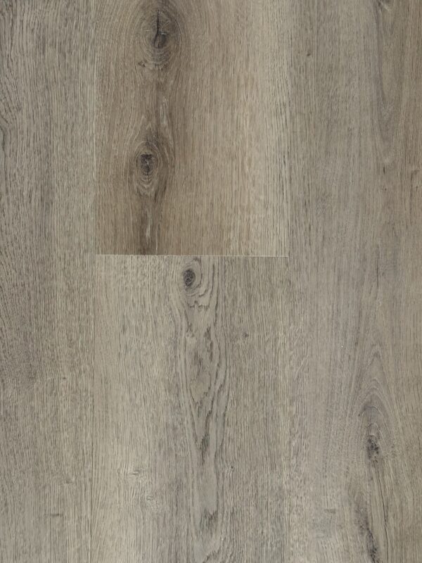 MISTY OAK – RIGID SPC